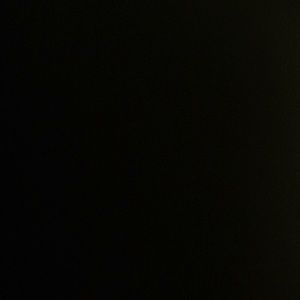 Meet your Posher, Carol